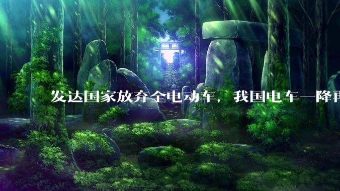 发达国家放弃全电动车，我国电车一降再降，高举发展新能源汽车大旗，电车会变成中国车企自嗨吗？