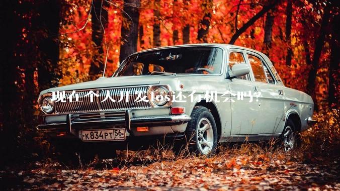 现在个人开发ios还有机会吗？